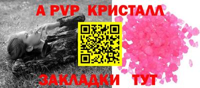 крисы Малгобек
