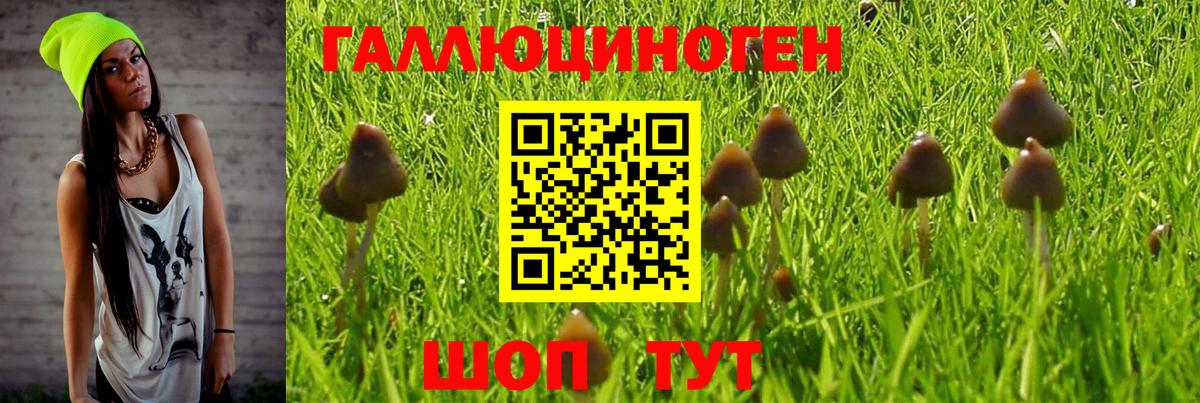 Киреевск  Псилоцибиновые грибы Cubensis  Галлюциногенные грибы Psilocybine cubensis  Вход с VPN 