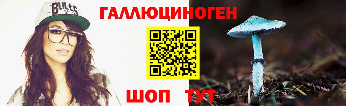 Псилоцибиновые грибы Cubensis Киреевск